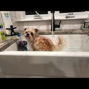 Meet your Posher, Jill